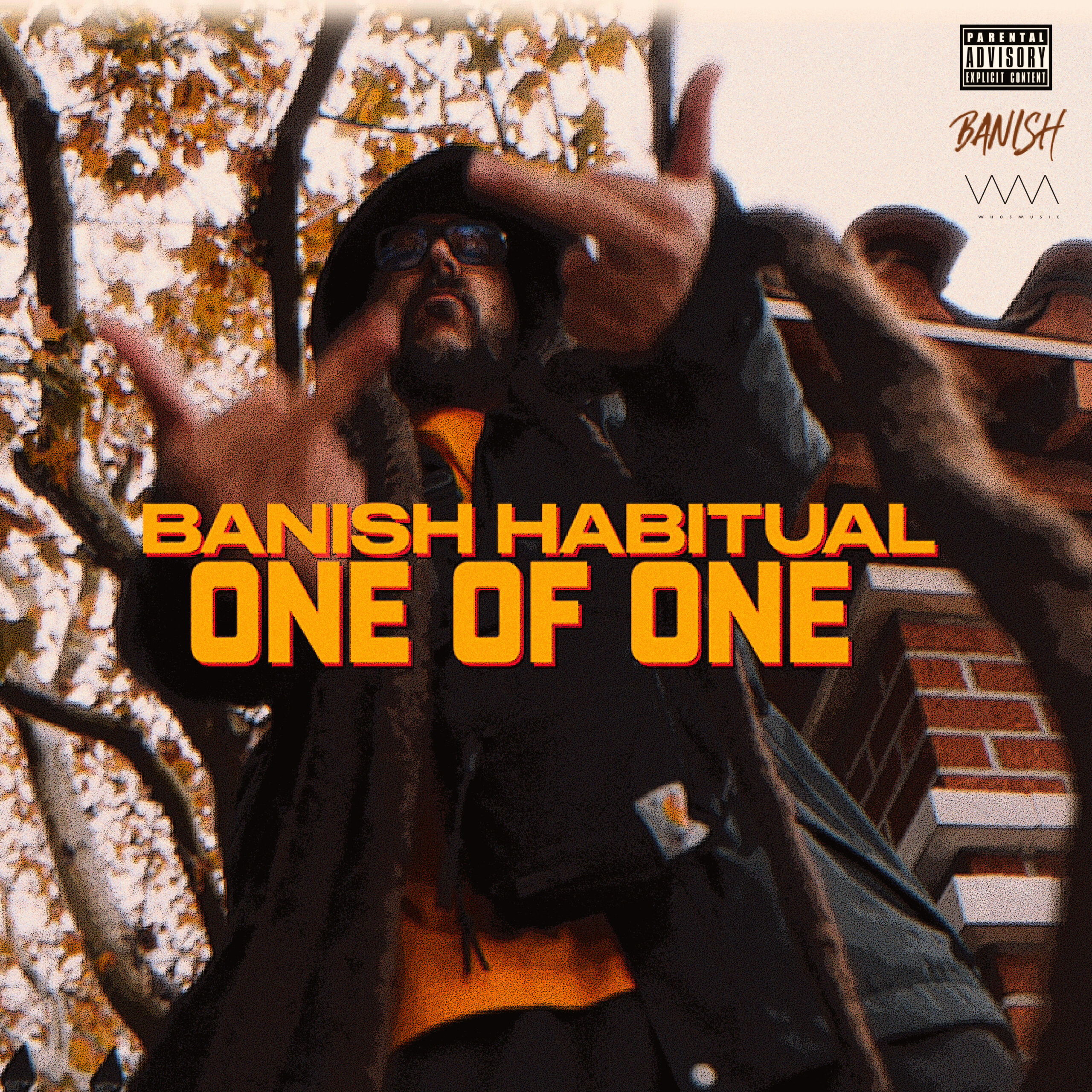 Banish Habitual - One of One (art)